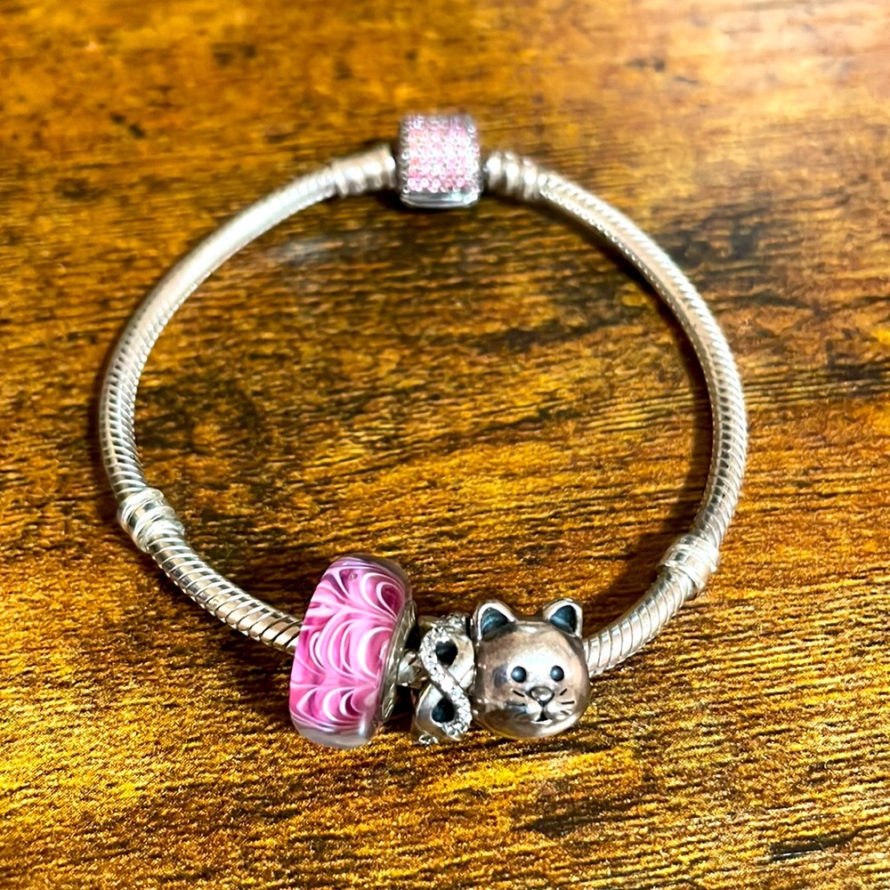 Pandora bracelet with charms
